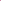Luxury Wild Rose Cotton Ankle Legging