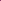 Luxury Beet Root Women Viscose Churidar Legging