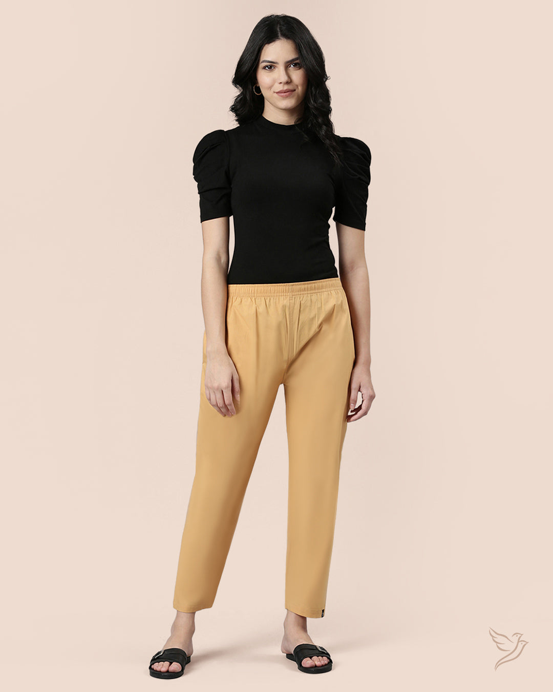Buy Caramel Custard Women Stylish Cotton Pant Online – Twin Birds Store